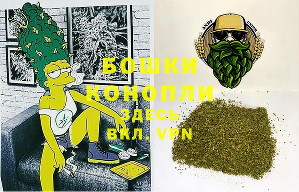 ECSTASY Сосновка