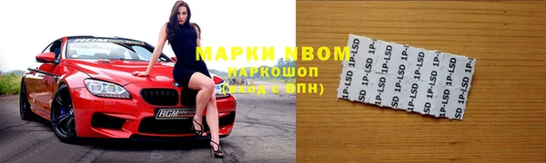 ECSTASY Сосновка