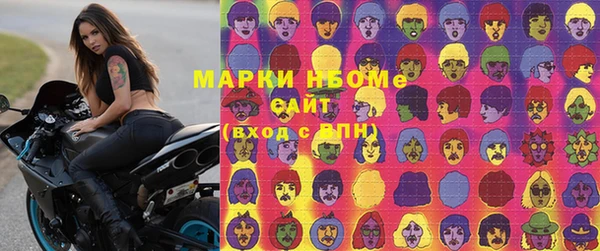 ECSTASY Сосновка